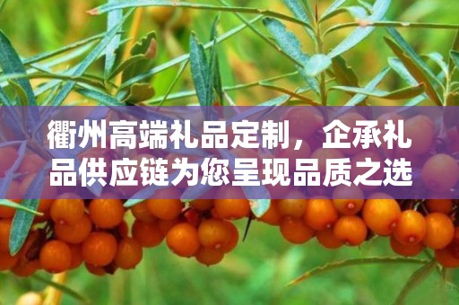 衢州高端礼品定制，企承礼品供应链为您呈现品质之选