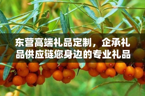 东营高端礼品定制，企承礼品供应链您身边的专业礼品定制公司