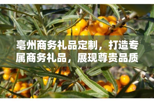亳州商务礼品定制，打造专属商务礼品，展现尊贵品质